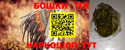 индика Кулебаки