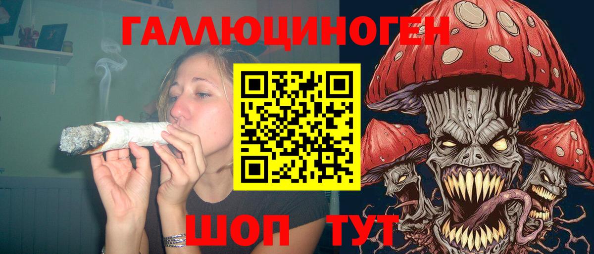Псилоцибиновые грибы мицелий Чита