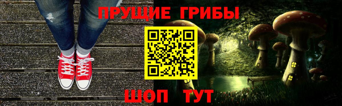 Чита  Псилоцибиновые грибы Magic Shrooms  Вход с VPN 